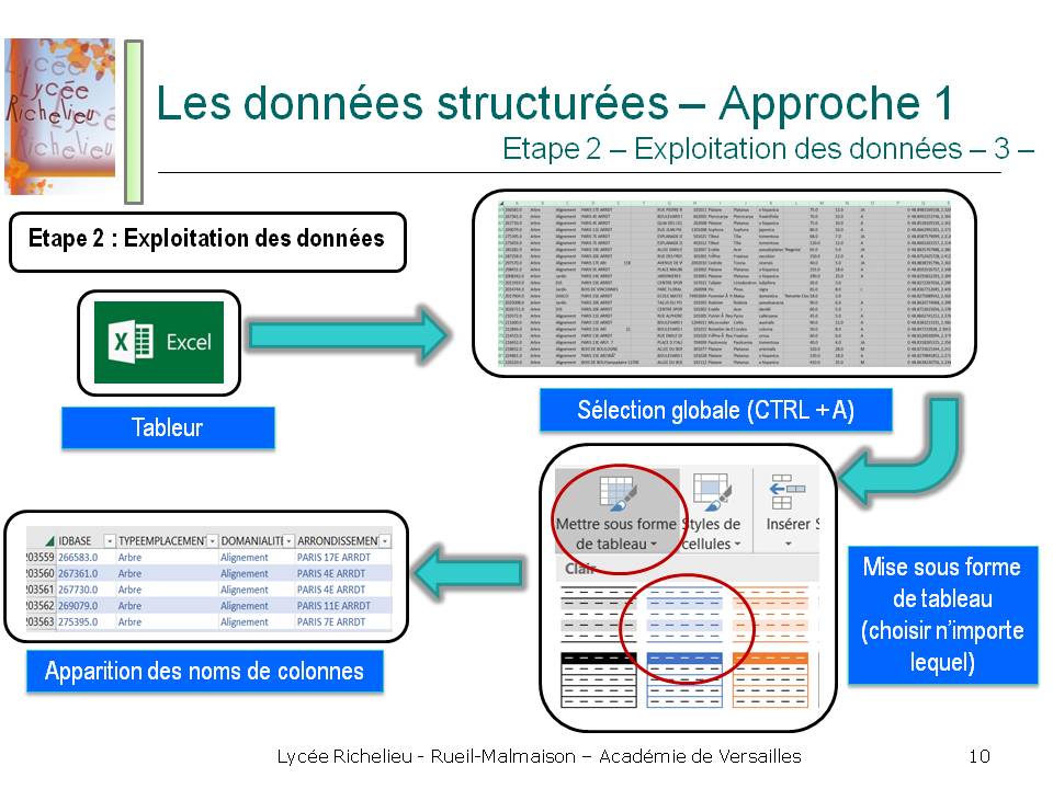 SNT - Introduction à l'exploitation des données structurées : Recherche sur  la base de données des arbres de Paris - éduscol STI