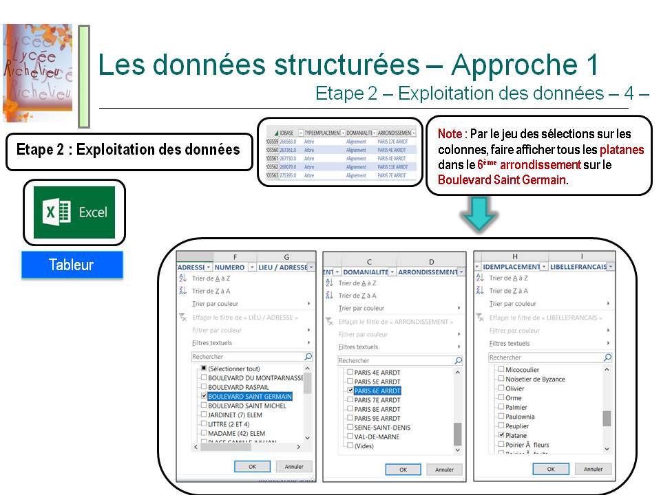 SNT - Introduction à l'exploitation des données structurées : Recherche sur  la base de données des arbres de Paris - éduscol STI