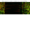 Réseau neuronal de la maladie de Huntington dans une puce microfluidique