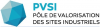 Logo PVSI