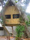 Maison de bambou à toit de palmes, GreenockBeejamin