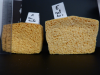 Comparaison des tailles de l’éponge A (eau seule) et de l’éponge E (sel à 10%) après séchage